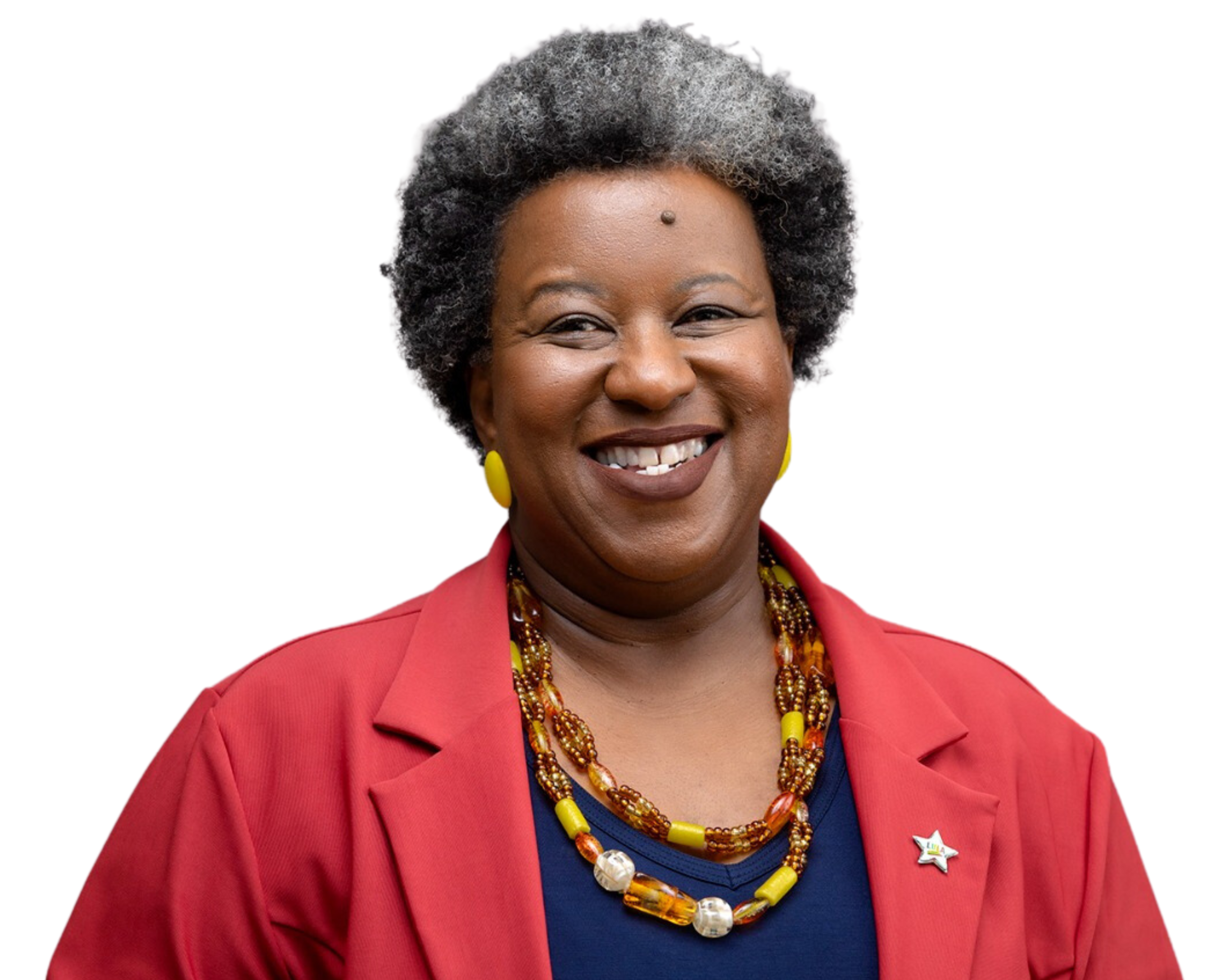 Macaé Evaristo