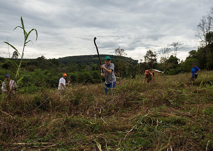 Como forma de denunciar ilegalidade da área, cerca de 1.500 famílias organizadas no Acampamento Dom Tomás Balduíno ocuparam o imóvel