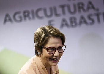 Tereza Cristina (DEM-MS) é presidente da bancada ruralista e deverá ter papel estratégico no governo Bolsonaro