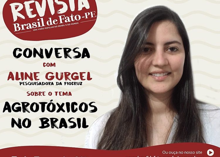 Aline Gurgel analisou a produção de alimentos e apresentou propostas para uma alimentação saudável