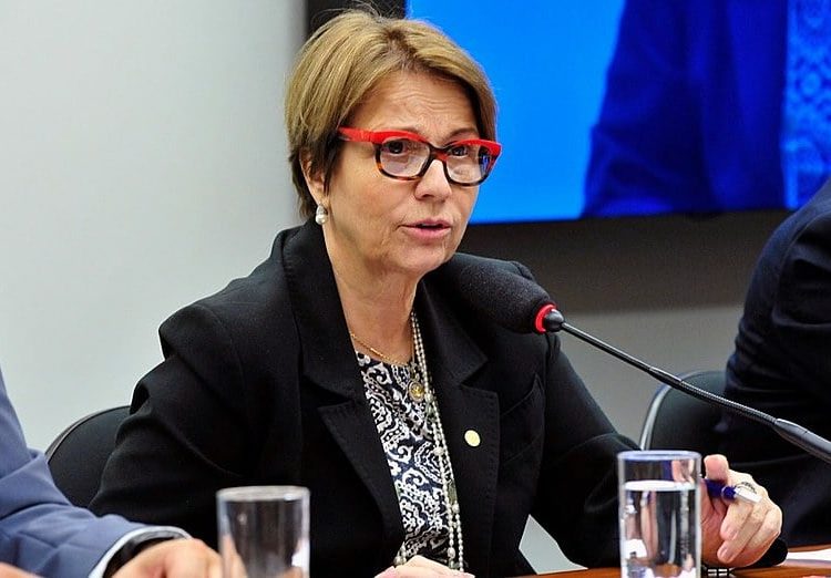 Deputada Tereza Cristina (DEM-MS) preside atualmente a Frente Parlamentar Agropecuária (FPA), conhecida como "bancada ruralista"