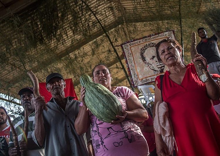 Além da produção de café, que no ano passado chegou a gerar 8,5 mil sacas, no Quilombo Campo Grande são 1.100 hectares de lavouras diversas