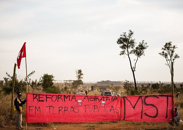 As famílias acampadas plantam maxixe, quiabo, feijão, milho, mandioca e melancia em terreno que estava abandonado