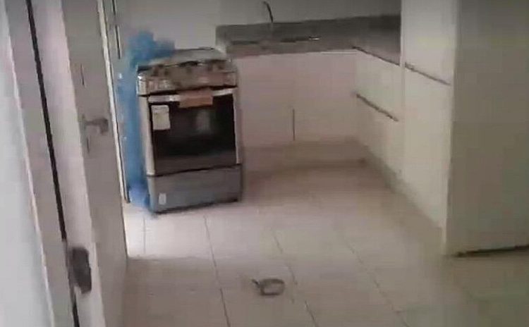 Filmagem das instalações do triplex do Guarujá, feita pelo MTST