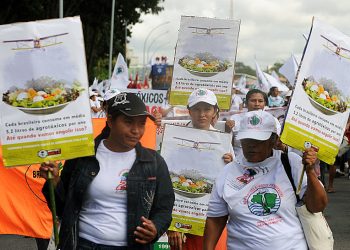"A única opção é a eliminação do produto, seu banimento de nosso território", diz engenheiro agrônomo