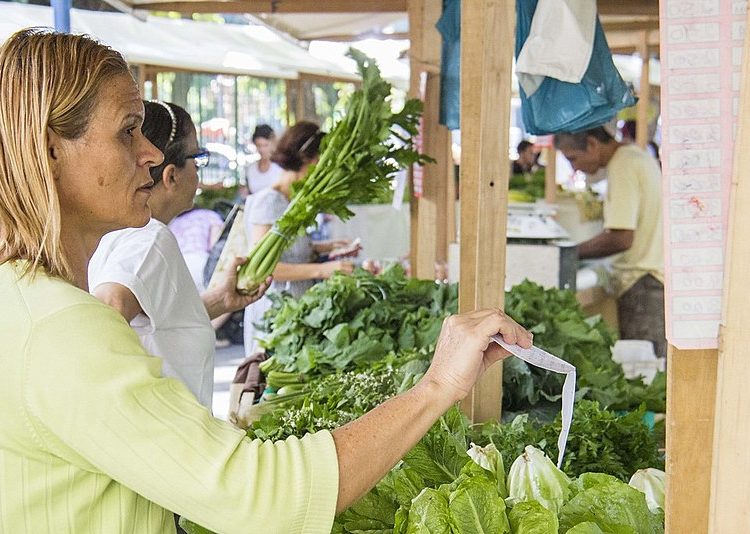 Feiras agroecológicas facilitam acesso à alimentação saudável