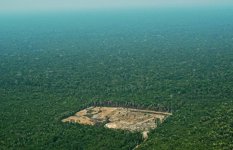 Imagem aérea do desmatamento na Floresta Amazônica, em 22 de setembro de 2017