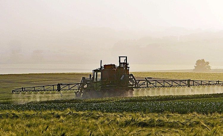 Glifosato é um dos herbicidas mais utilizados no agronegócio brasileiro