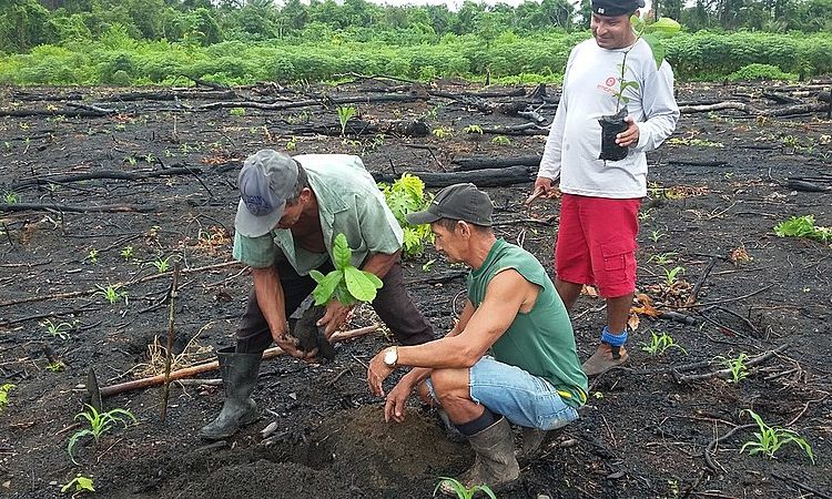 A caravana no Pará é um preparatório ao IV Encontro Nacional de Agroecologia que será em Belo Horizonte nos dias  31 de maio a 3 de junho