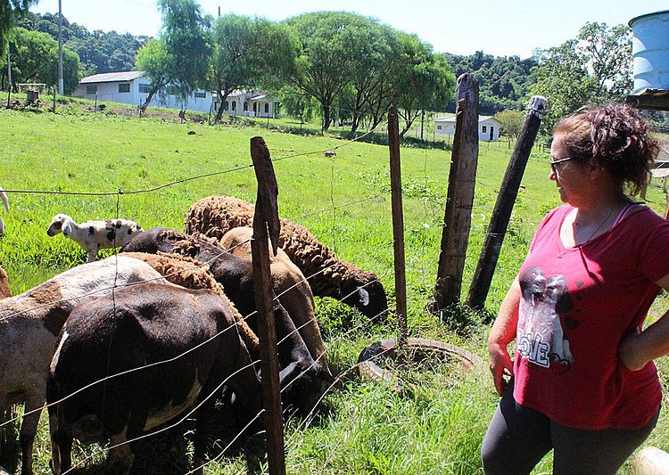 Há mais de 20 anos, onze famílias do Movimento dos Trabalhadores Rurais Sem Terra (MST) formam o pré-assentamento Jangadinha