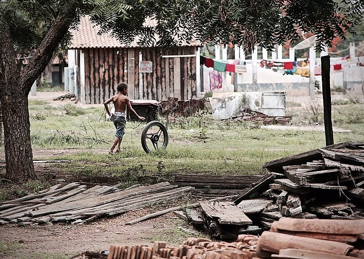 Famílias usam a terra do acampamento para produzir alimentos de maneira agroecológica