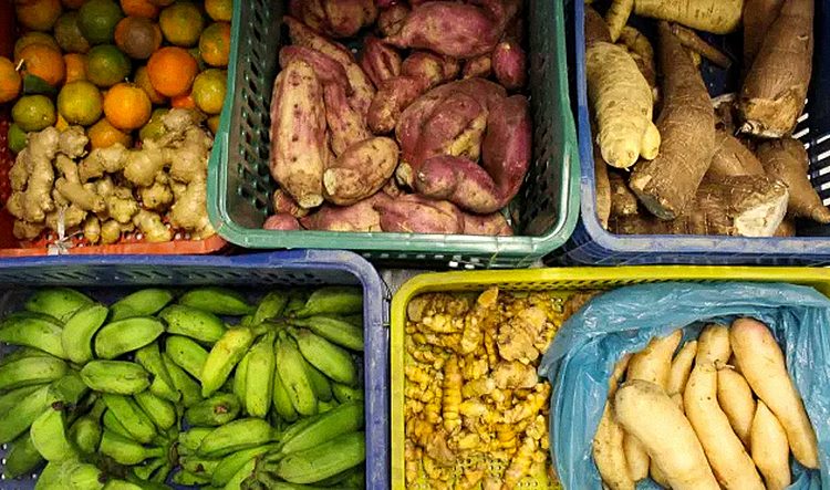 Alimentos