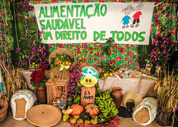 mst, agroecologia