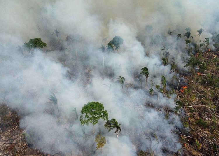 Município de Lábrea, no sul do Amazonas, tem área devastada por queimadas equivalente a quase 15 mil campos de futebol
