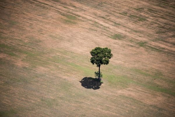 Em votação no Senado, 'PL da Devastação' enfraquece preservação e amplia racismo ambiental