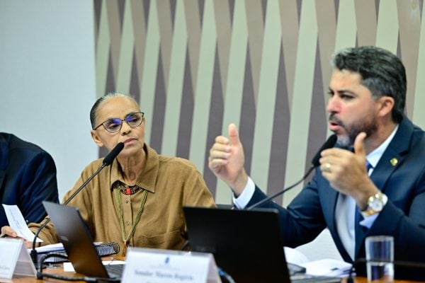 Comissão de Serviços de Infraestrutura (CI) recebe a ministra de Estado do Meio Ambiente e Mudança do Clima nesta terça-feira (27)
