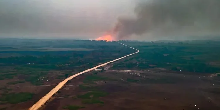 Seca histórica no Pantanal provoca incêndios devastadores em 2024