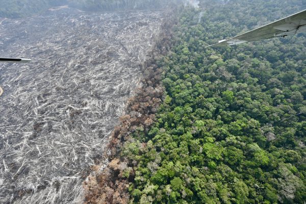 Desmatamento na Amazônia cresce 92% em um ano enquanto PL da Devastação avança no Congresso