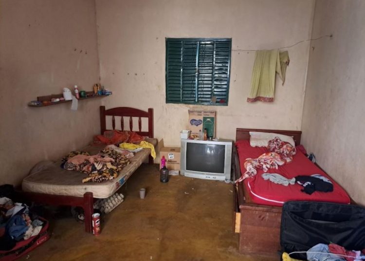 Fornecedora de ovos para vacinas do Butantan teve 23 resgatados de trabalho análogo à escravidão