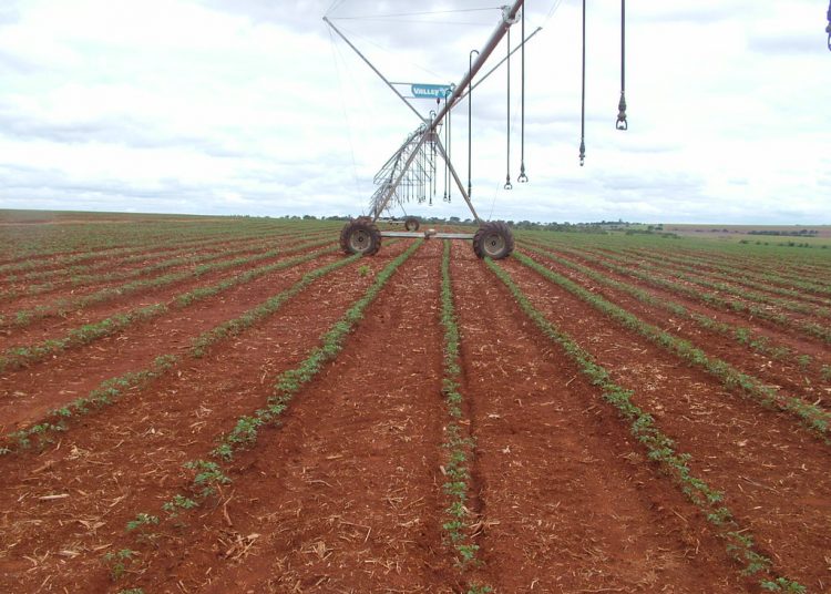 Justiça condena fazendeiro pela morte de trabalhador exposto a 64 tipos de agrotóxicos