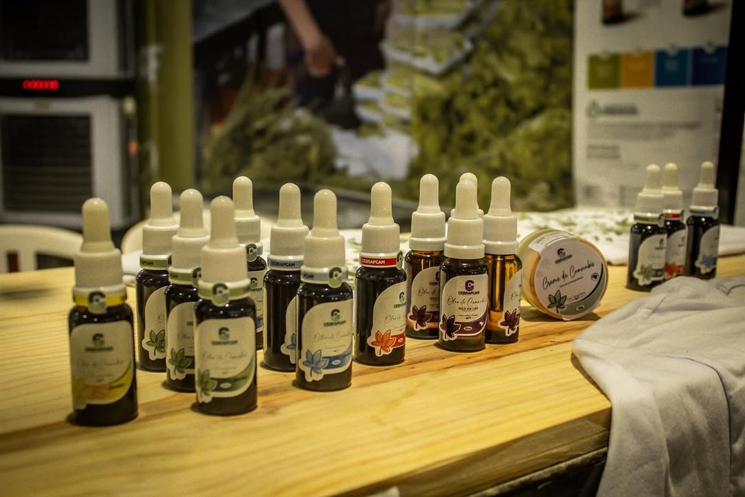 Parceria entre Cebrapcam e Insa promete avanços para cannabis medicinal no Semiárido paraibano